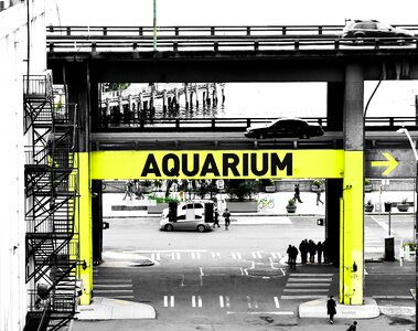 Traffic highway aquarium