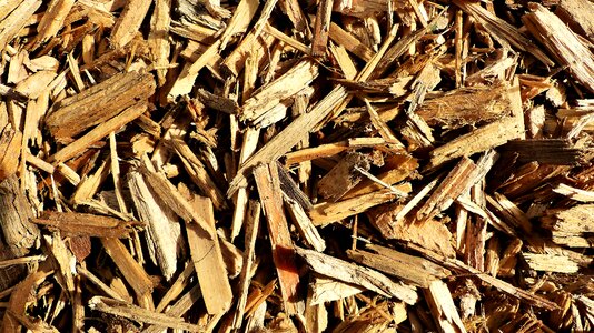 Nature shavings wood photo