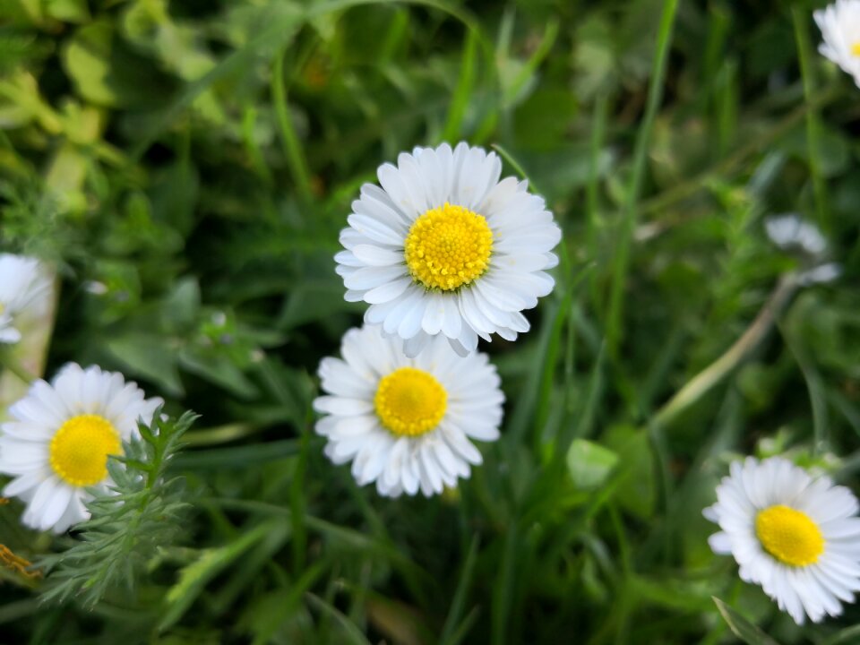 Summer field season