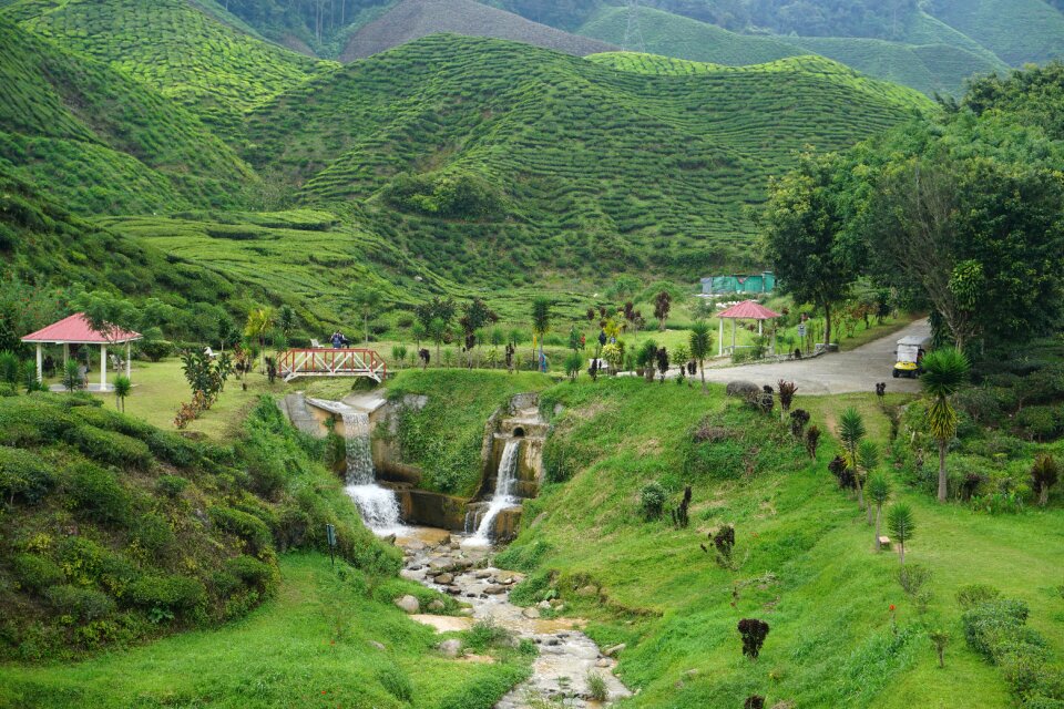 Landscape mountain the valley of the