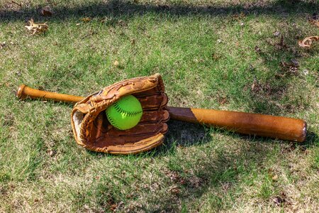 Wooden flora softball photo