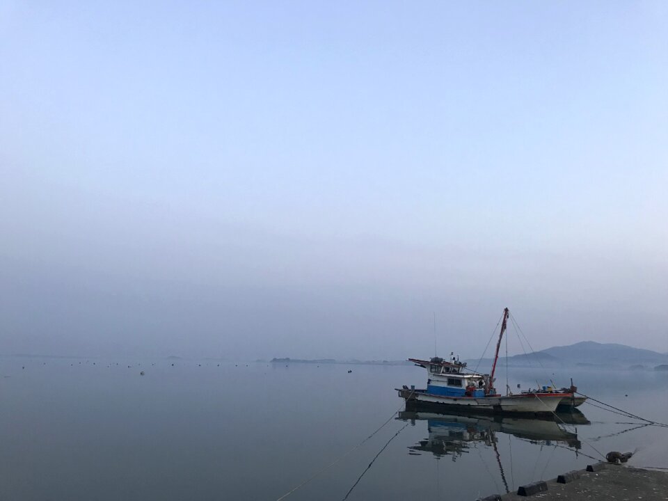 Bear address morning sea fishing boat