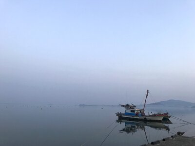 Bear address morning sea fishing boat