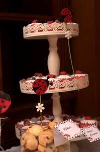 Celebration candle christmas