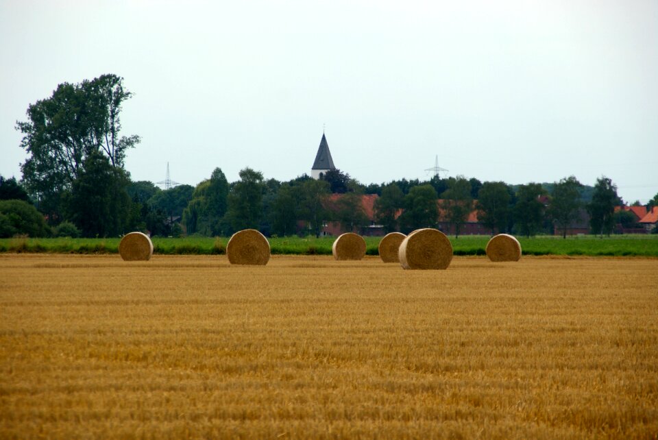 Agriculture farm straw