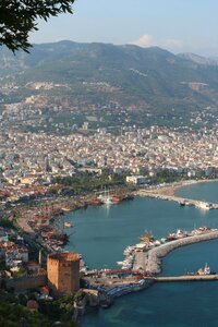 The coastal sea turkey