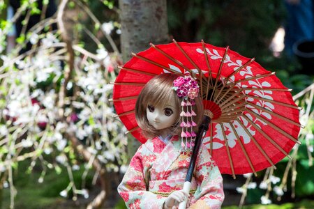 Kimono umbrella traditional