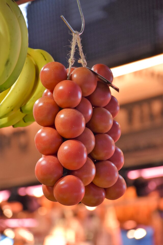 Echoppe etal vegetables