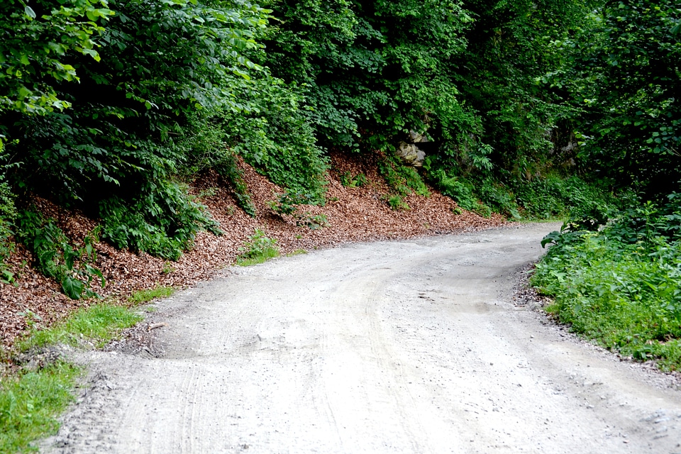 Country side track nature