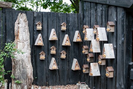 Bird houses fence outdoor photo