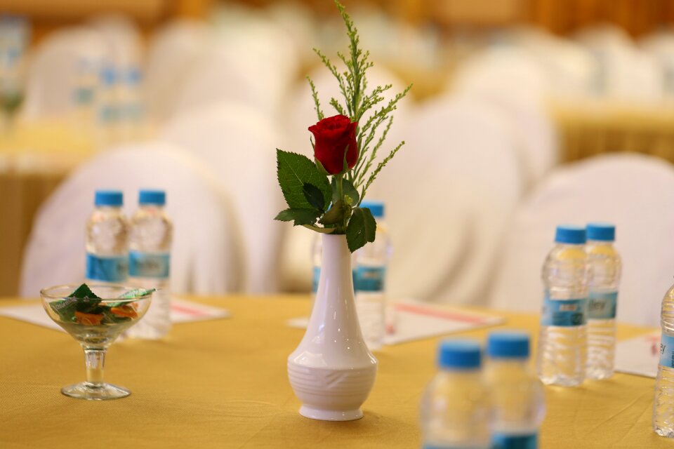 Celebration vase rose