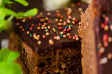 Chocolate cake brownie brownies photo