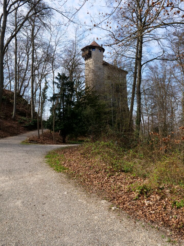 Rule middle ages knight's castle