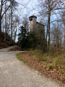 Rule middle ages knight's castle