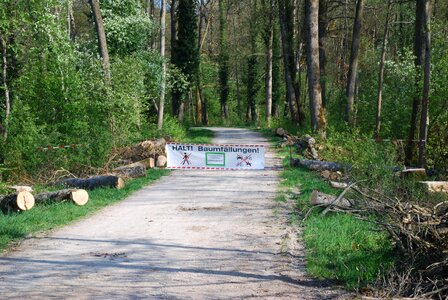 Summer environment park