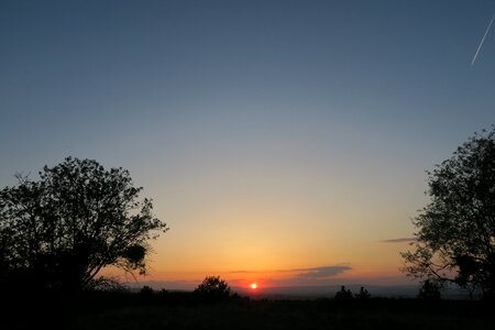 Dawn tree solar photo