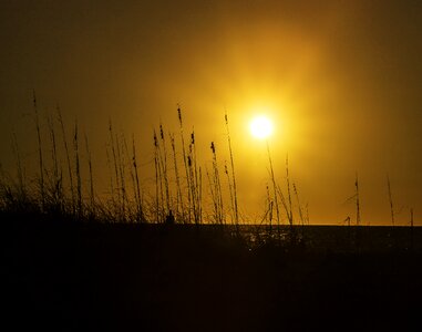 Silhouette sky