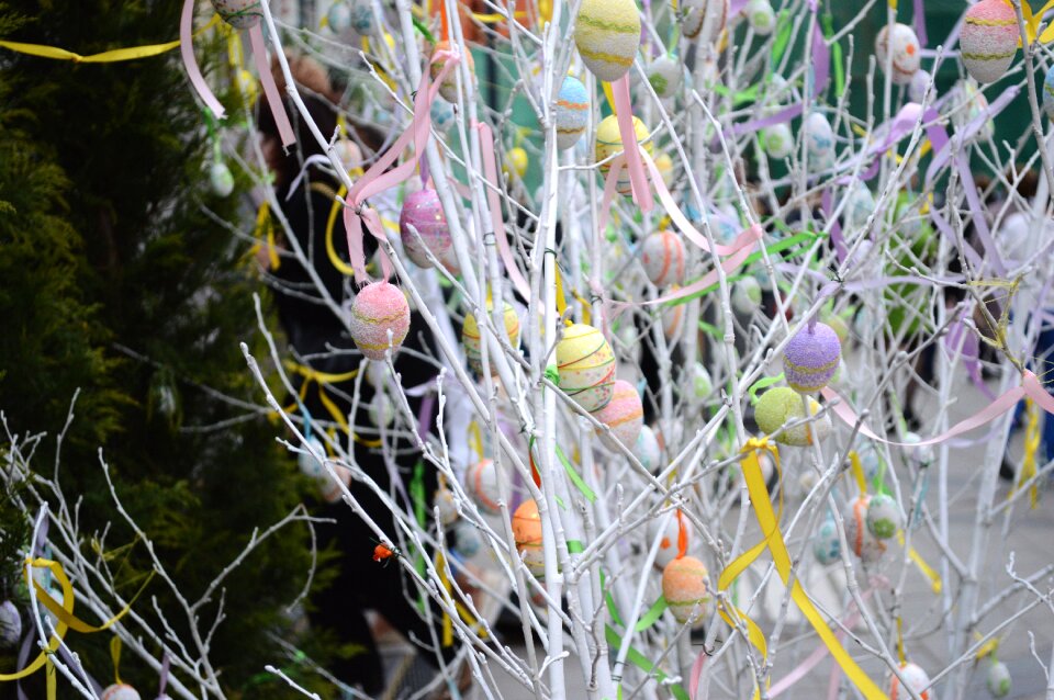 Garden flower easter