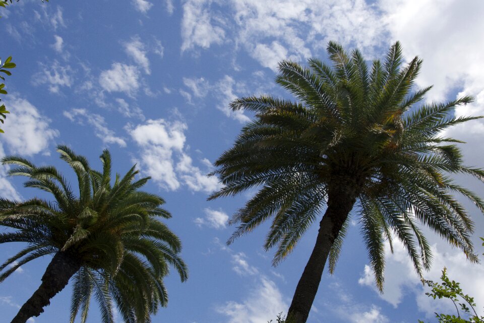 Summer beach clouds