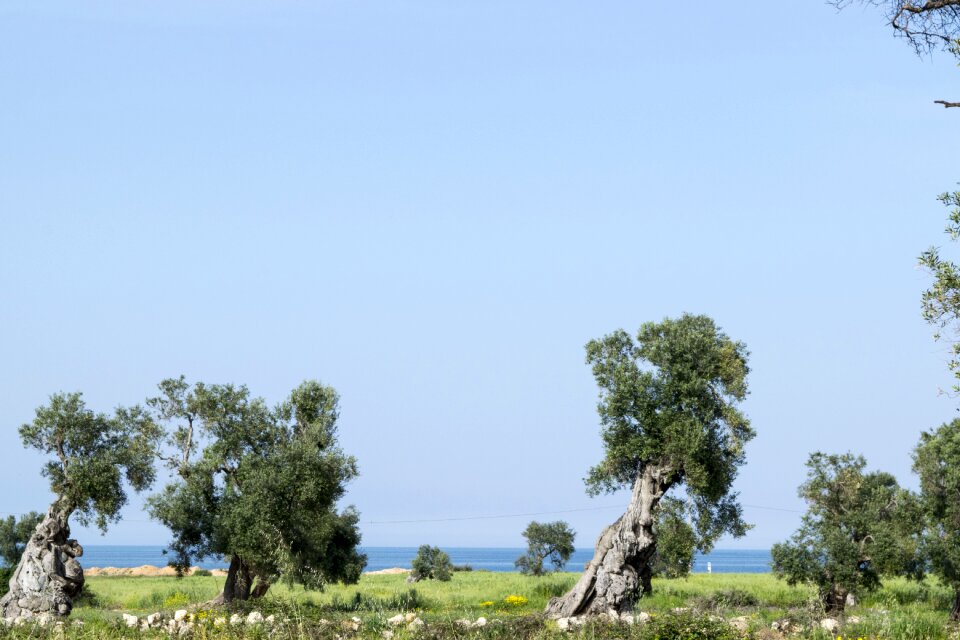 Outdoors landscape sea