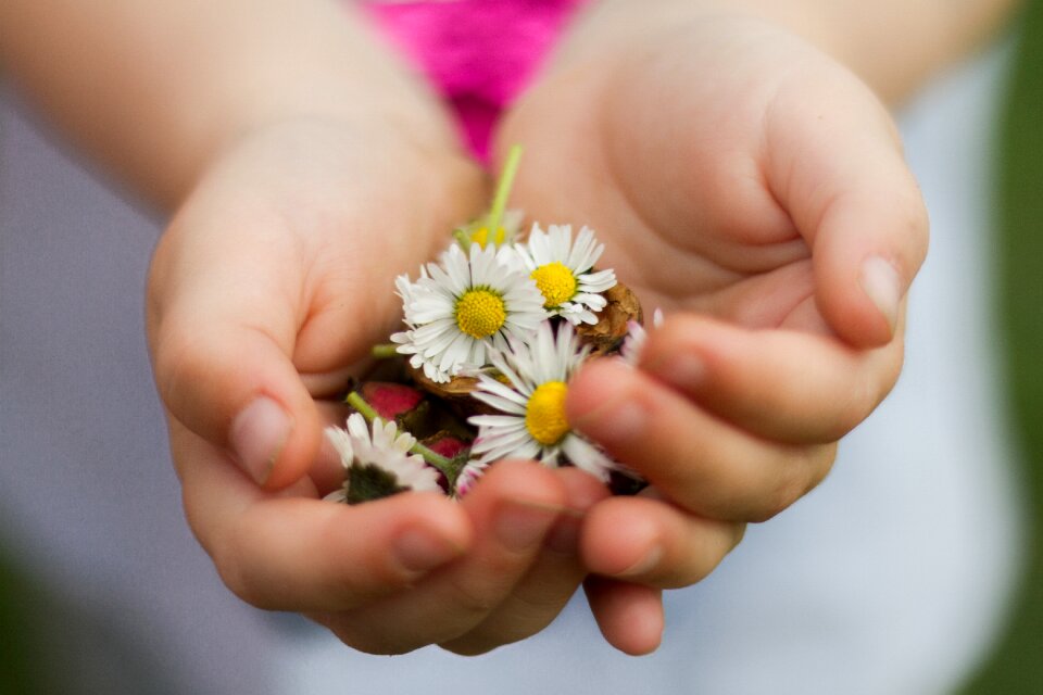 Flowers child love