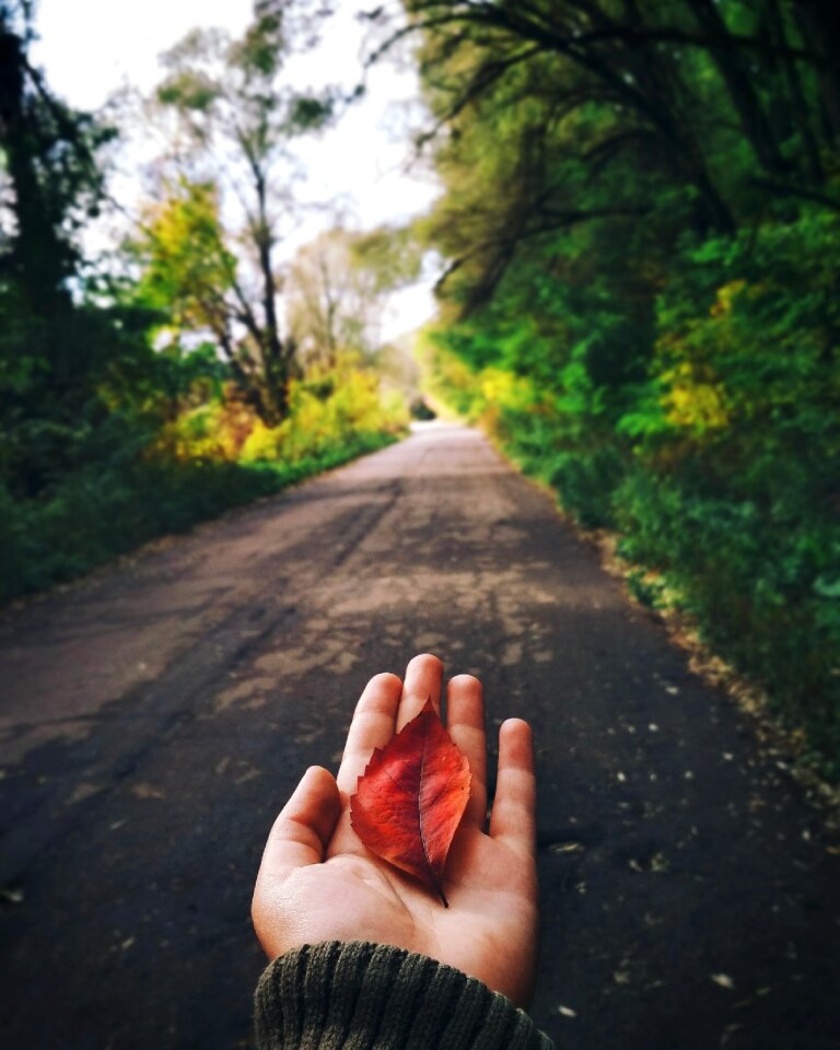 Outdoors direction lockscreen wallpaper