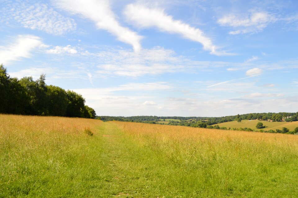 Field landscape outdoors