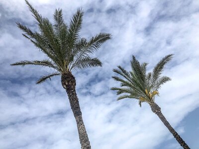 Beach cloudiness hell