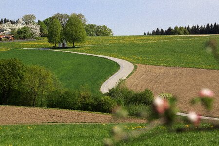 Field chapel away