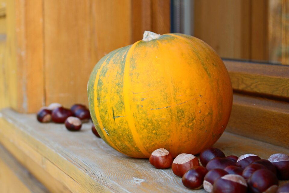 Pumpkin chestnuts Free photos