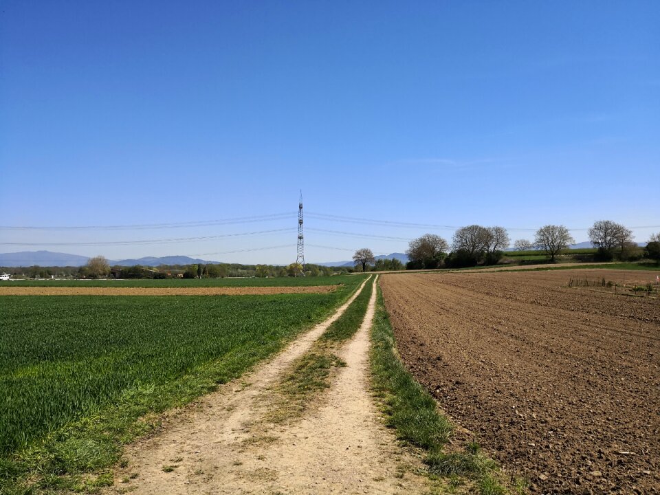 Farm field rural