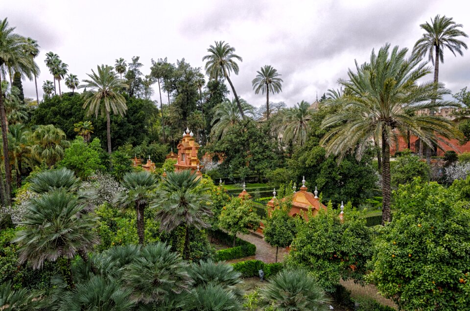 Summer travel seville