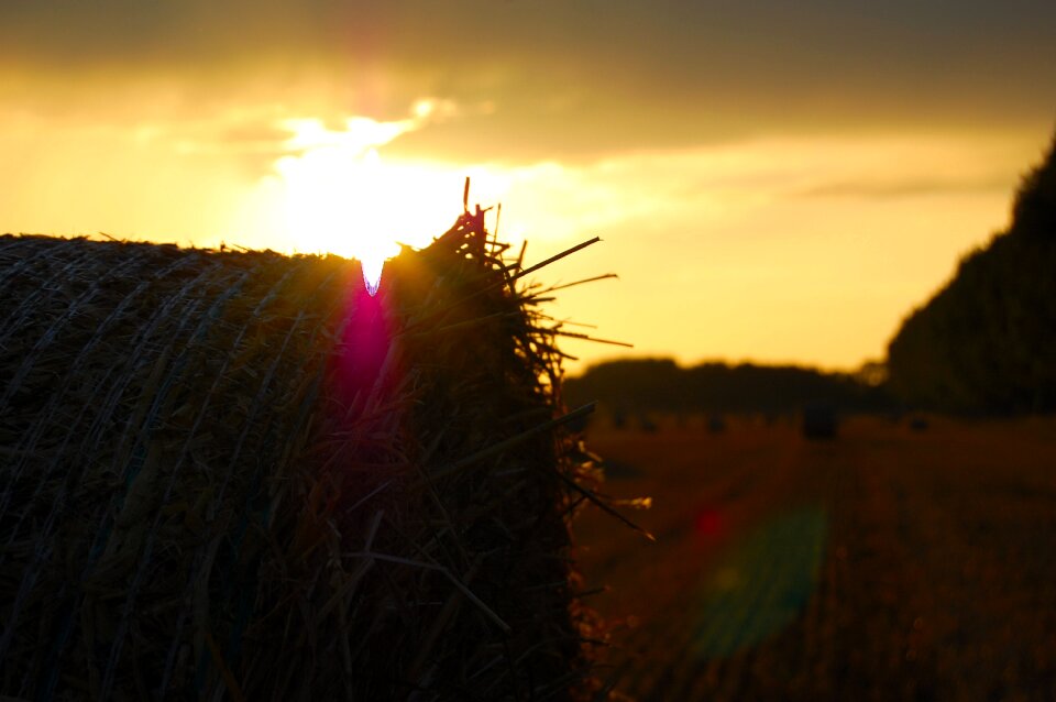 Sun evening silhouette
