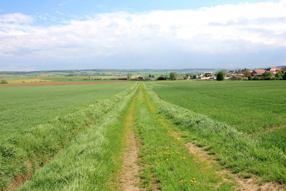 Summer agriculture landscape