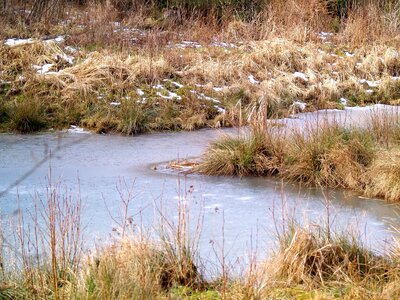 River grass lake