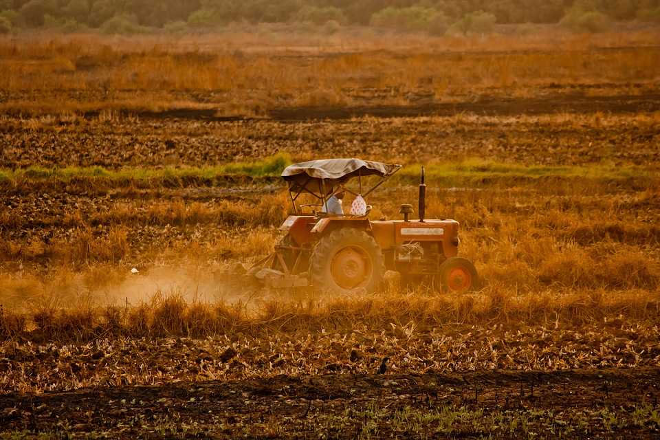 Agriculture crop harvest