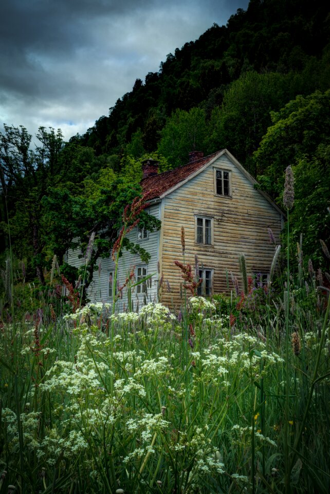 Old house ruin green house