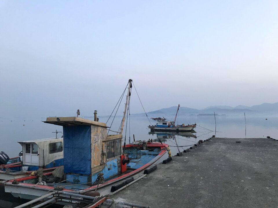 Bear address morning sea fishing boat