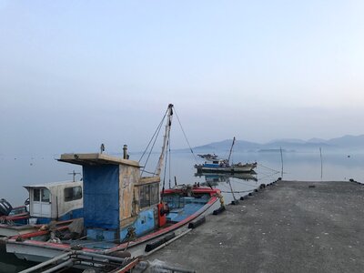 Bear address morning sea fishing boat