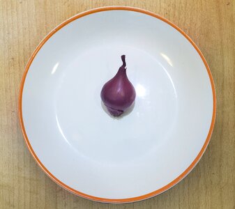 Food covering dining table