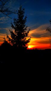 Nature the silhouette at the court of