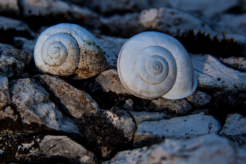 Marble weathered stone