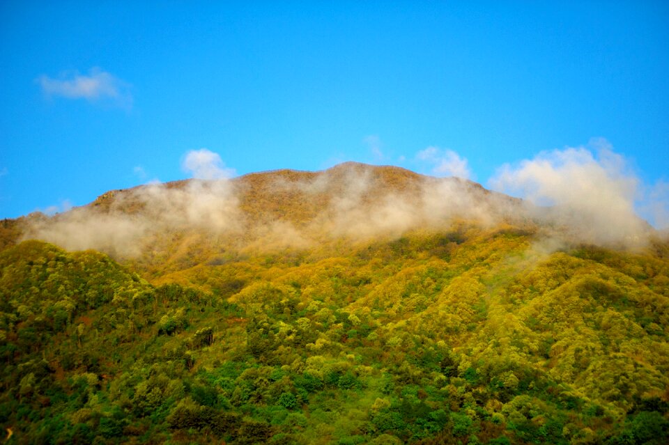 Fog and clouds landscape spring