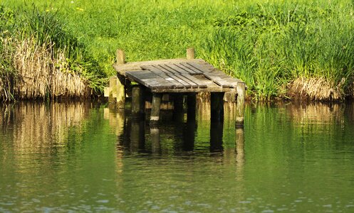 Lake reflection wood
