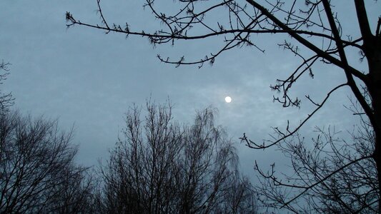 Winter sky moon