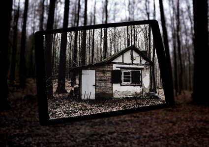 Decay house tree