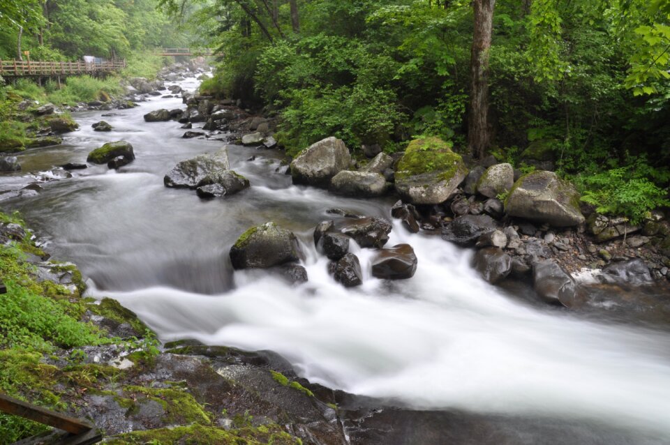 River falls nature