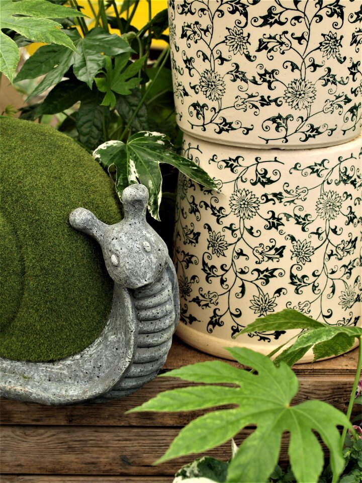 Nature desktop pot