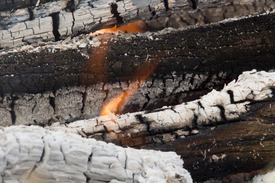 Polyana an outbreak of fire