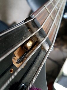 Bass guitar musician